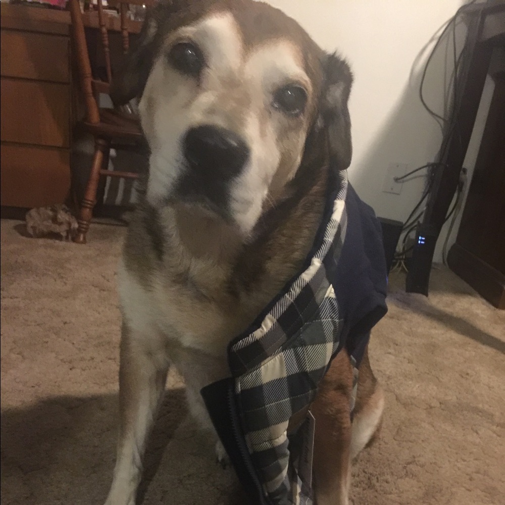 Meet your Posher, Sara